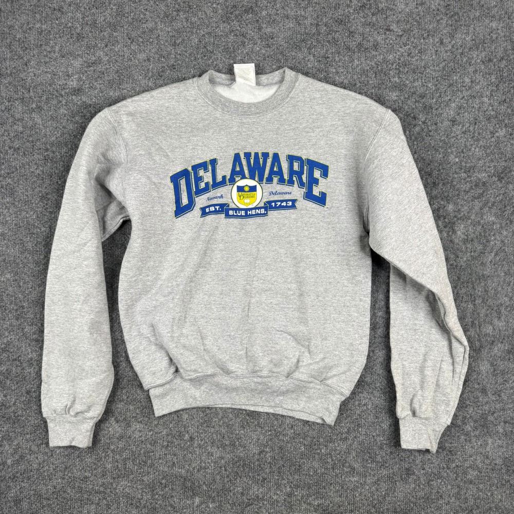 Champion Sweatshirt Mens Size S Gray Delaware Blue Hens Graphic Fleece Pullover